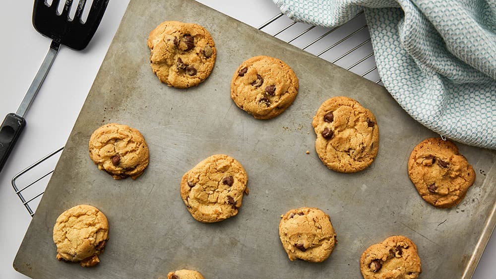 chocolate chip cookies